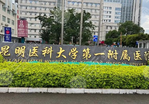 昆明双平面隆胸医院排名