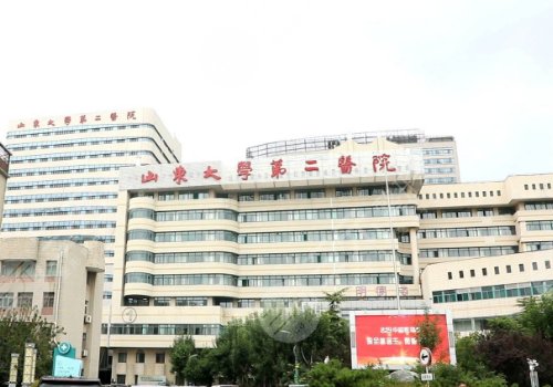 2025济南丰胸哪儿效果好