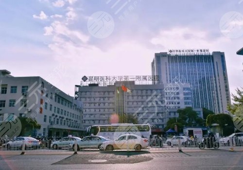 昆明自体脂肪丰胸医院排名