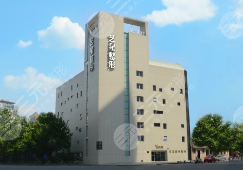 成都画美和艺星哪个好