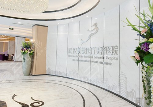 武汉十强医美医院排名