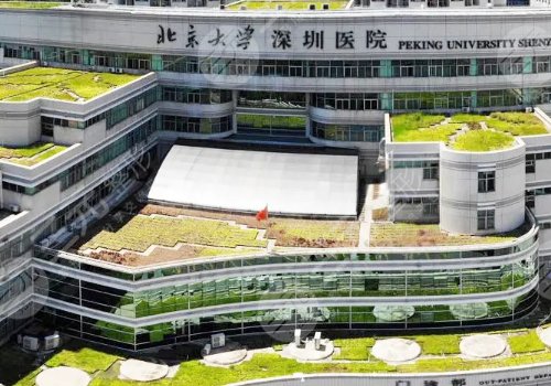 深圳十强医美医院排名