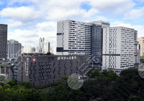 深圳十强医美医院排名