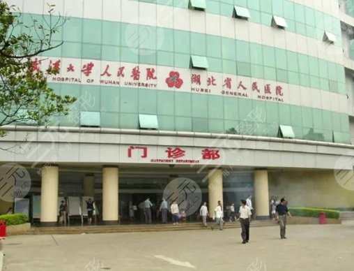 武汉大学人民医院整