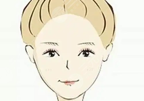 何晋龙和朴兴植谁厉害