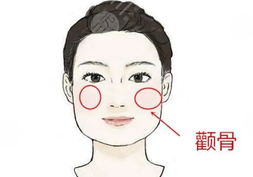 崔荣达和朴兴植那个好