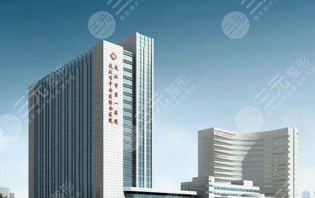 武汉市中西医结合医院
