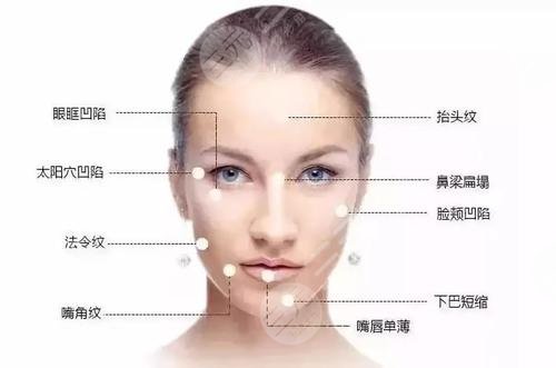 维持时间谁更长? 