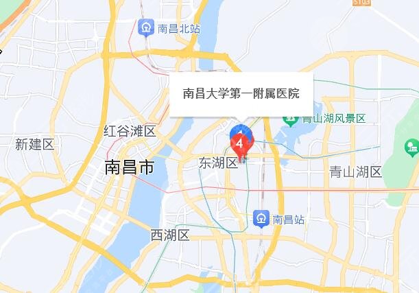 南大一附医院地址