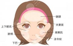面颊凹陷填充胶原蛋白好还是玻尿酸好？选谁填平“岁月坑”？