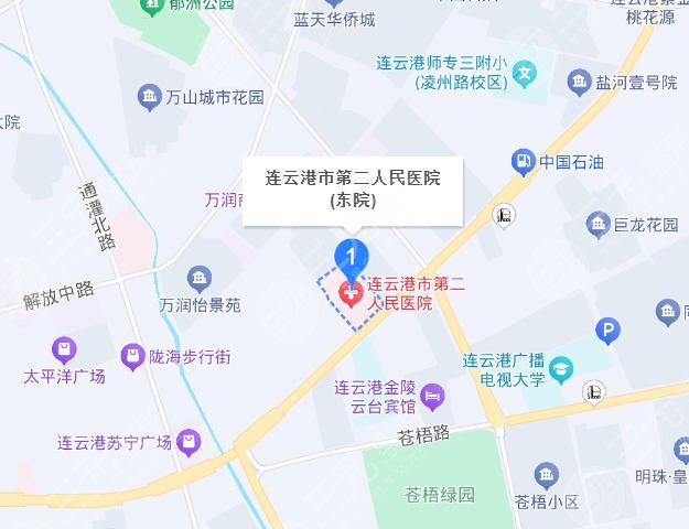 连云港第二人民医院地址