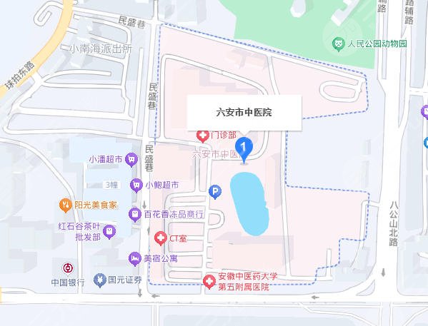 六安中医院地址