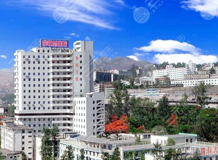 攀枝花攀钢总医院