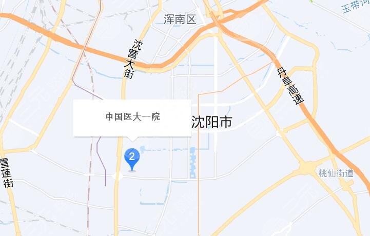 沈阳医大一院地址