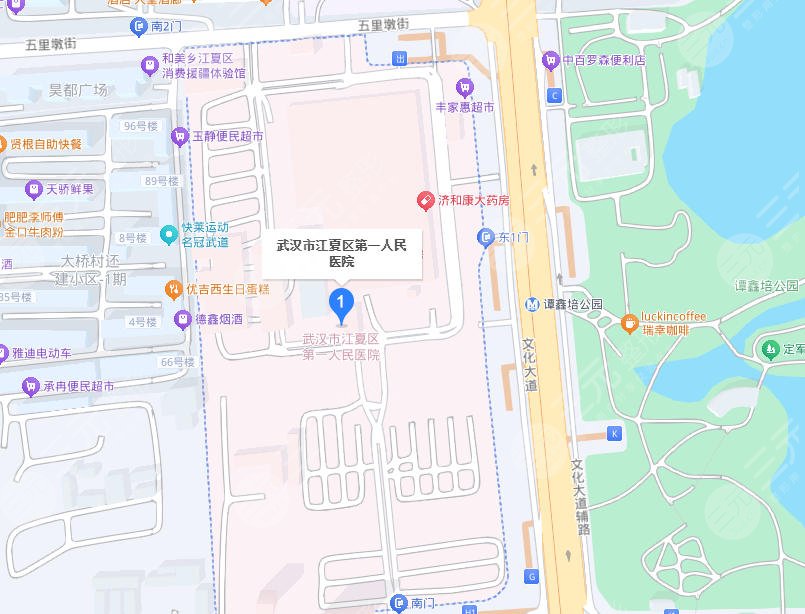 武汉江夏区第一人民医院地址