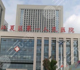 武汉江夏区第一人民医院