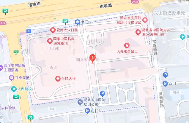 湖北省中医院光谷院区地址