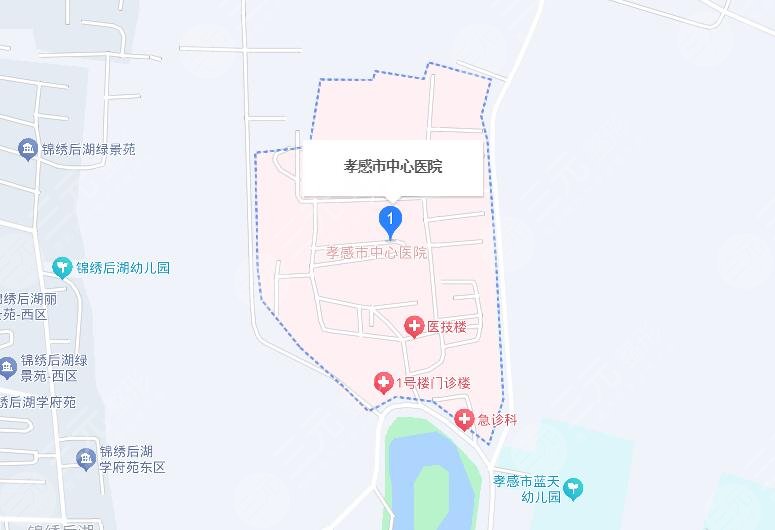 孝感中心医院地址