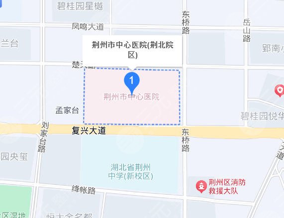 荆州中心医院地址