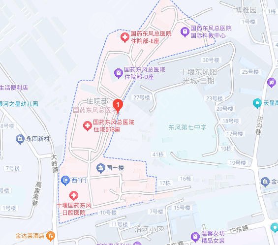 国药东风总医院地址