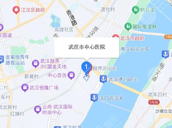 武汉中心医院地址