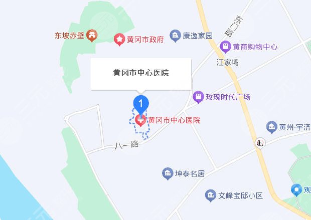黄冈市中心医院地址