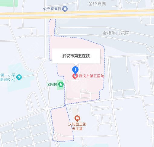 武汉第五医院地址