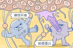 深圳打胶原蛋白多少钱？不同品牌、不同部位价格区间全解析