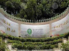 深圳脂肪埴充哪家医院好？5家靠谱医院实扒，公立私立全攻略