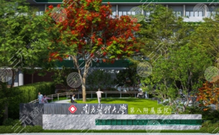 南方医科大学第八附属医院