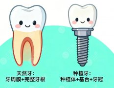 杭州整形医院（口腔）种植牙怎么样？多少钱？项目口碑和价格一文给你捋顺