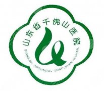 千佛山医院割双眼皮好吗？术式风格、医生水平到术后体验分享