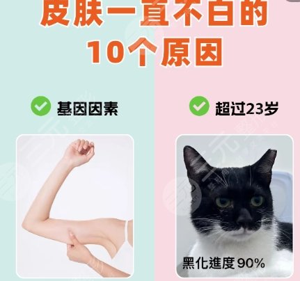 皮肤美白