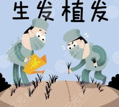 植发
