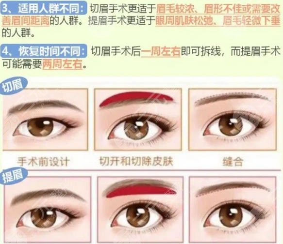 提眉