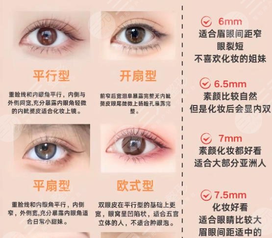 双眼皮