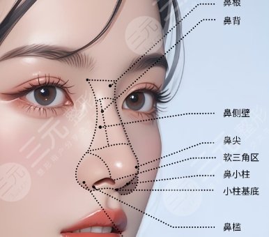 隆鼻