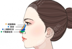 大连假体隆鼻医院哪里好？公立与私立机构的筛选标准及选择思路