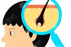 西京医院植发挂什么科？挂号科室和就诊流程一次弄清