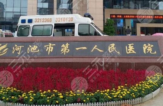 河池市第一人民医院医学美容科怎么样？