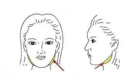下颌角整容手术详细详解，小V脸的进化之路