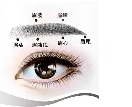 半永.久纹眉多久可以用洗面奶