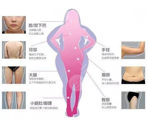 综合研究女性体形吸引力的量化数据