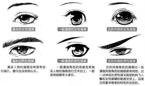 北京切眉价格是多少