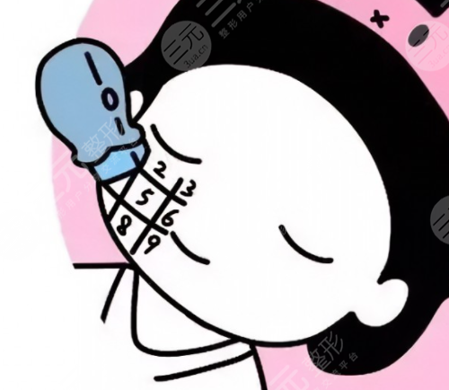 电波l皮多少钱?电波l皮价格是多少